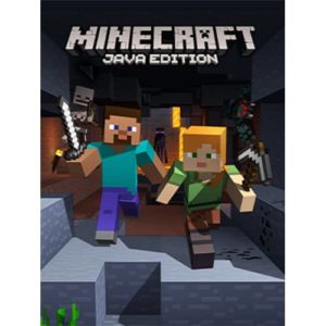 Minecraft : Java Edition