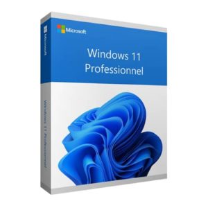 Windows 11 Professionnel OEM – Clé produit (Product Key)